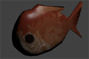 魚